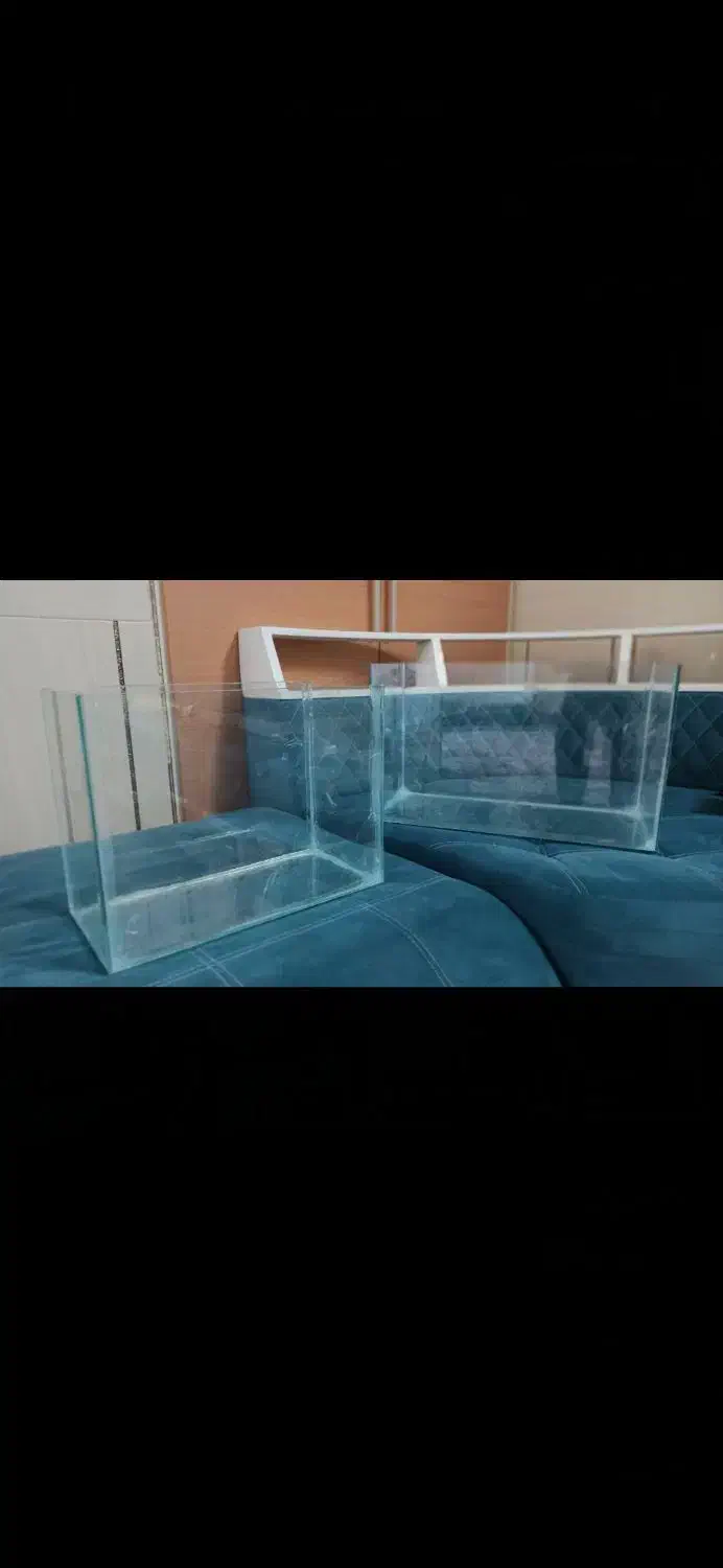 ساخت انواع آکواریوم خانگی یک عدد موجود است|ماهی|سیرجان, |دیوار