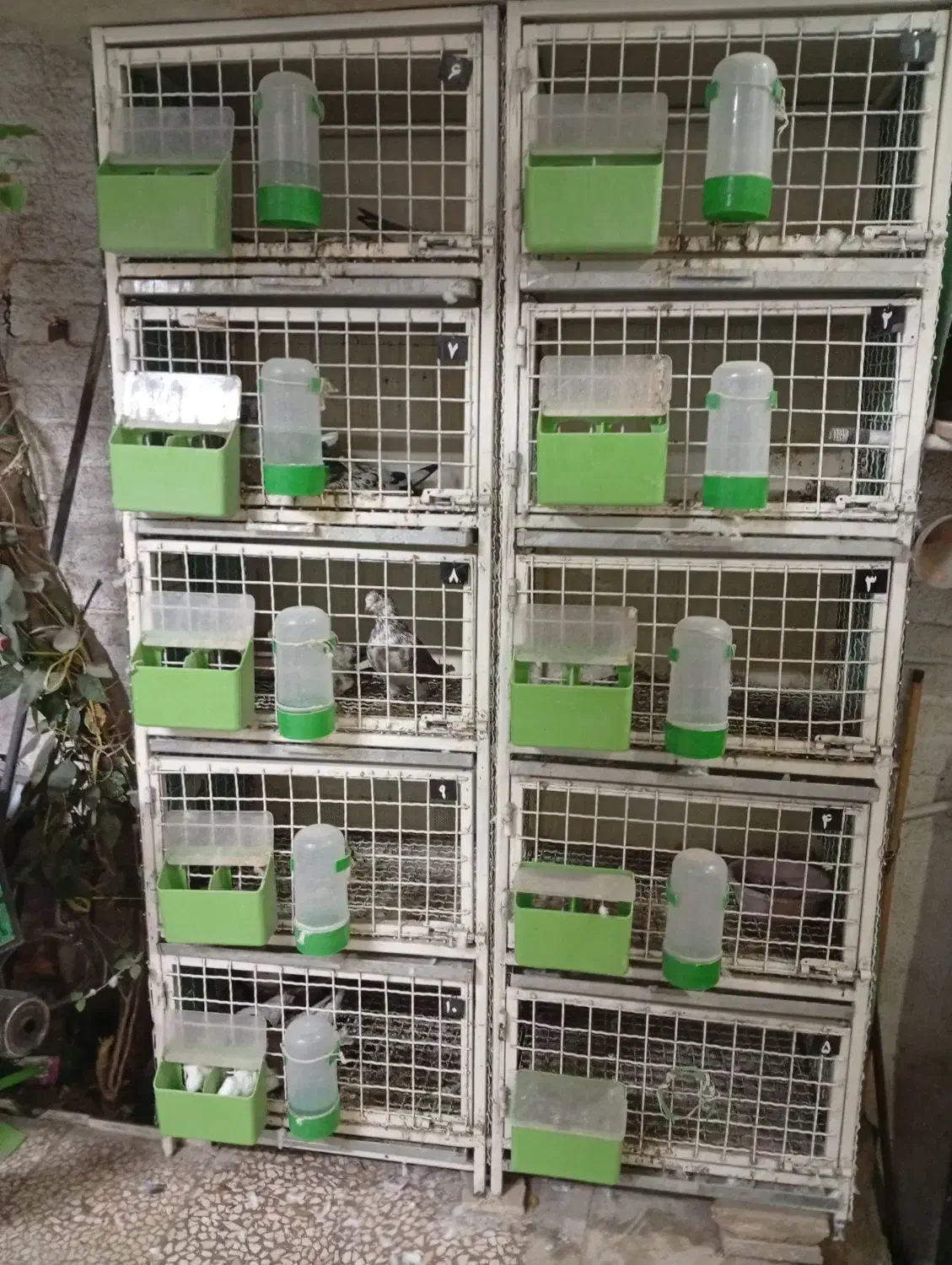 قفس آهنی جفتخوان ۵ طبقه خوب|لوازم جانبی حیوانات|قم, حاج زینل|دیوار