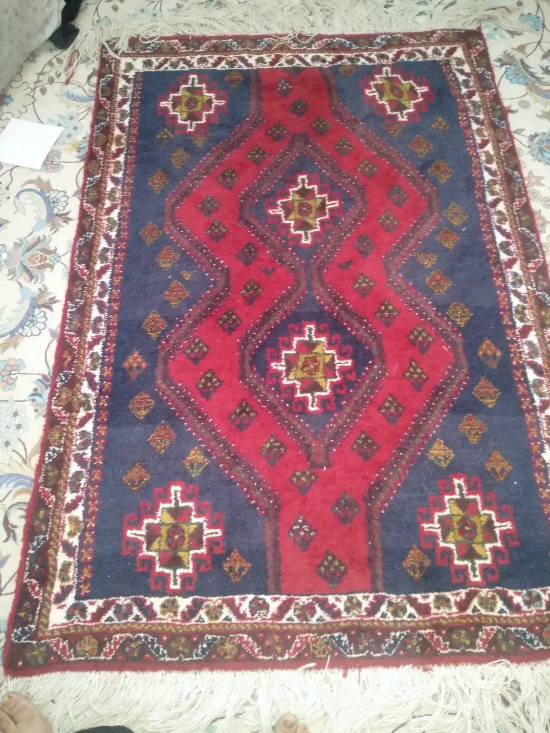 قالی دستباف|فرش|شیراز, گل سرخ|دیوار