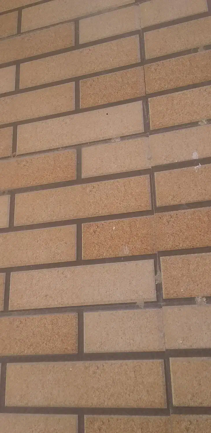 پیمانکاری بازسازی خانهای قدیمی وباغ|خدمات پیشه و مهارت|ابریشم, |دیوار