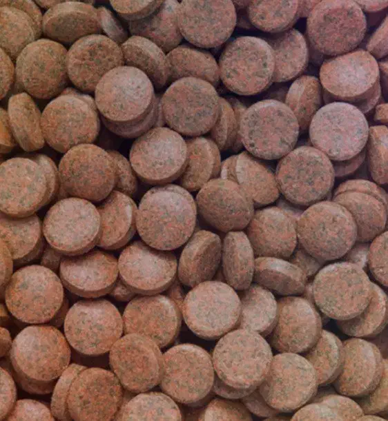 گوپی خاص|ماهی|فولادشهر, A6|دیوار