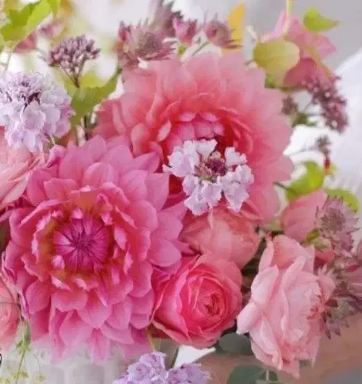 راهنمایی برای حال خوب|فعالیت داوطلبانه|شاندیز, |دیوار