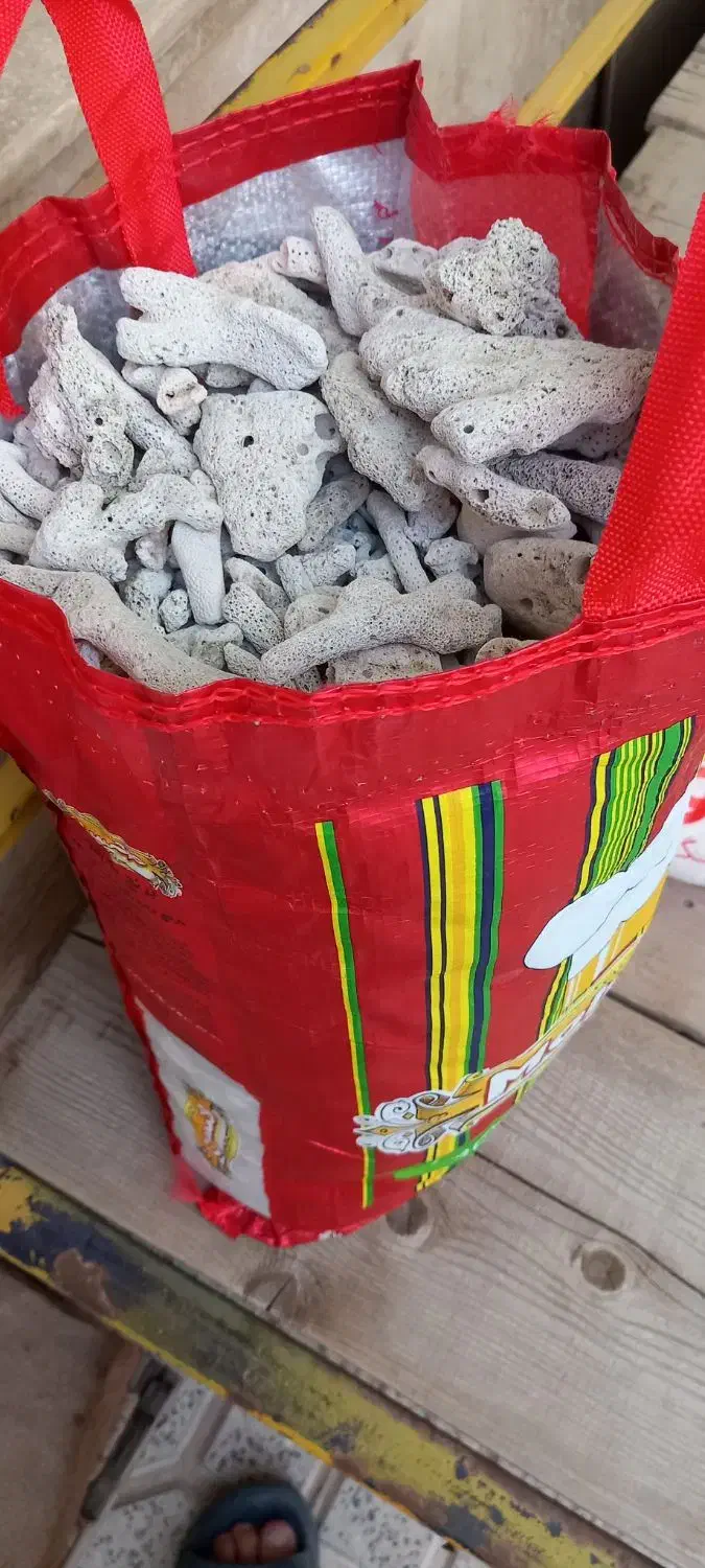 مرجان و شن سفید اکواریوم قیمت مناسب|ماهی|ارومیه, |دیوار