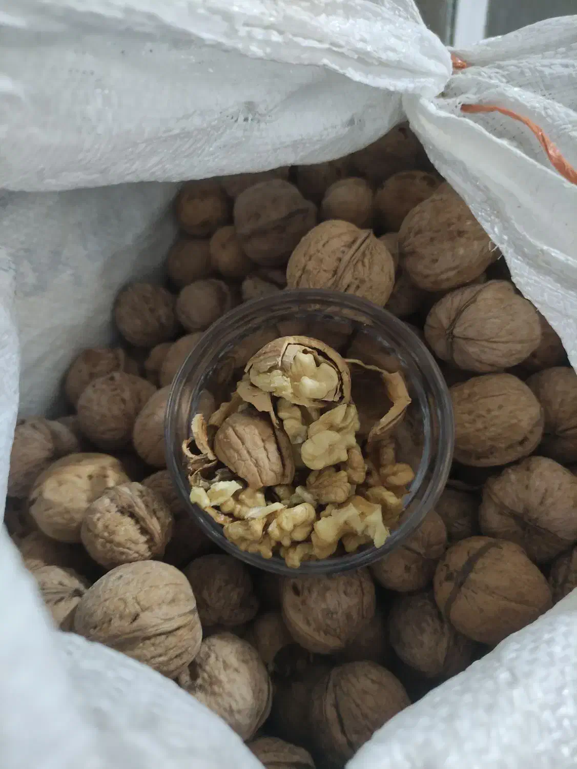 گردو درجه یک مناطق سرد سیرکوهستانی شاه جهان|حراج|تهران, خلیج فارس|دیوار