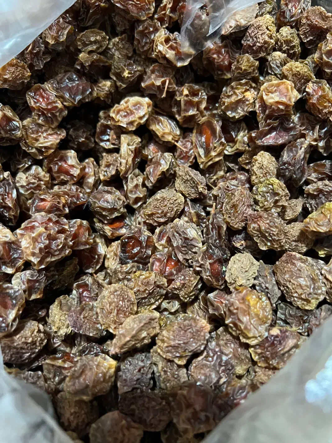 قیسی و آلو|خوردنی و آشامیدنی|شیراز, قدوسی شرقی|دیوار