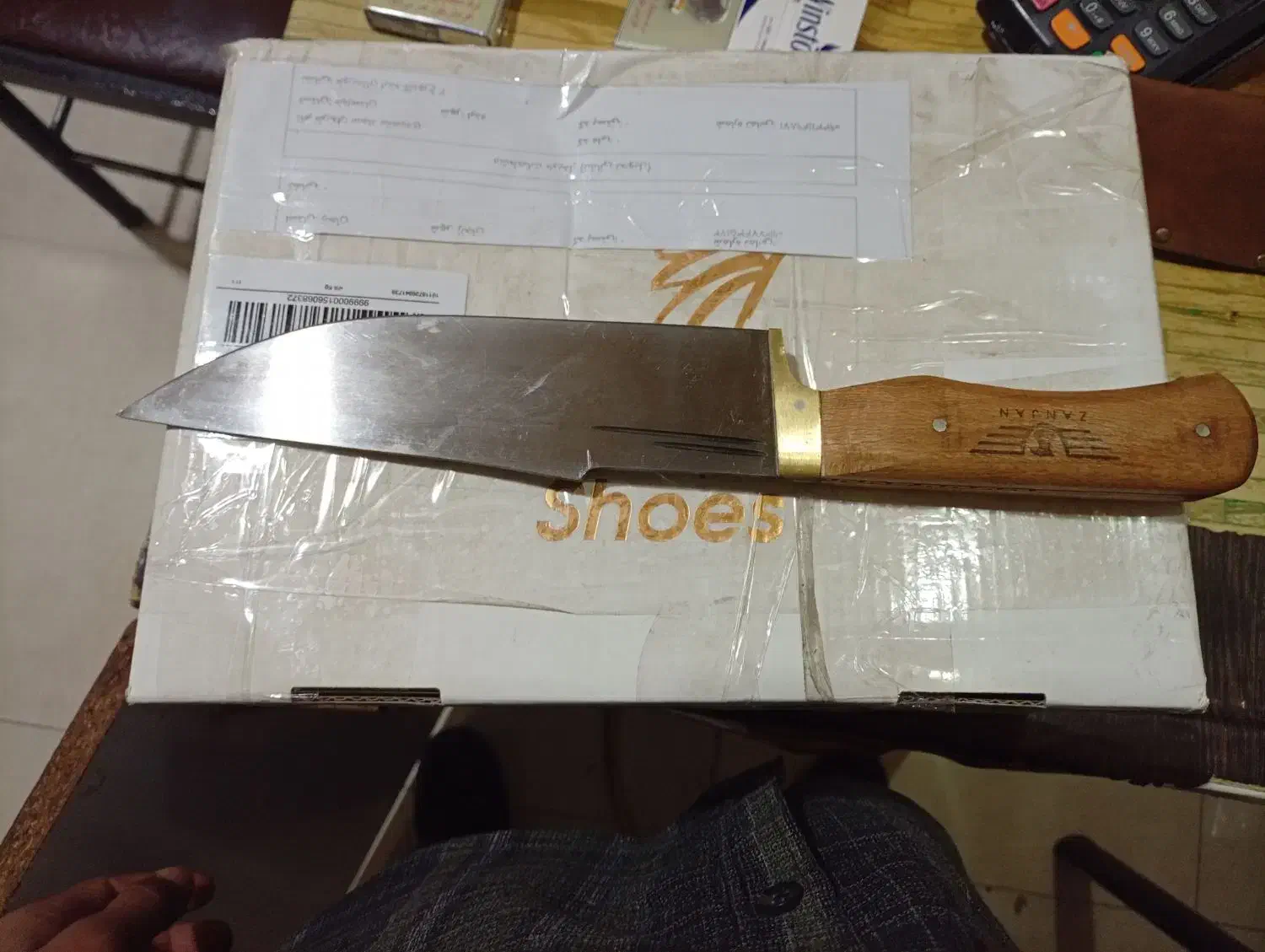 کبوتر|کلکسیون و سرگرمی|ایذه, |دیوار