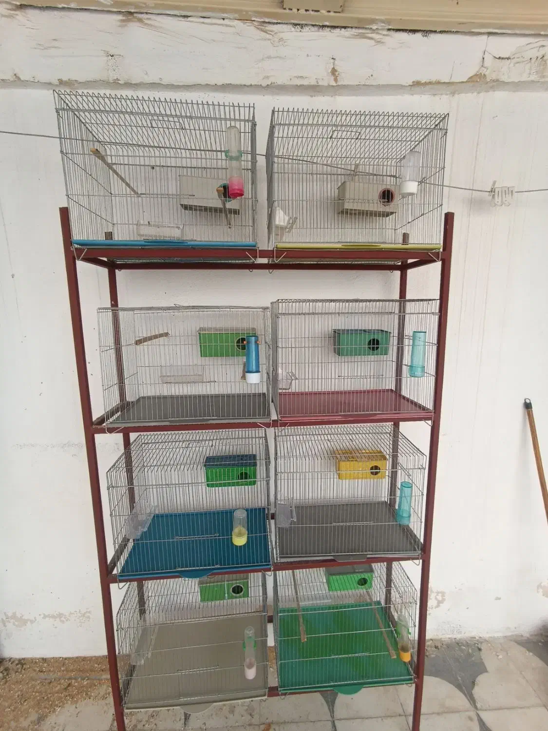 فروش قفس و طبقه|لوازم جانبی حیوانات|بوشهر, |دیوار