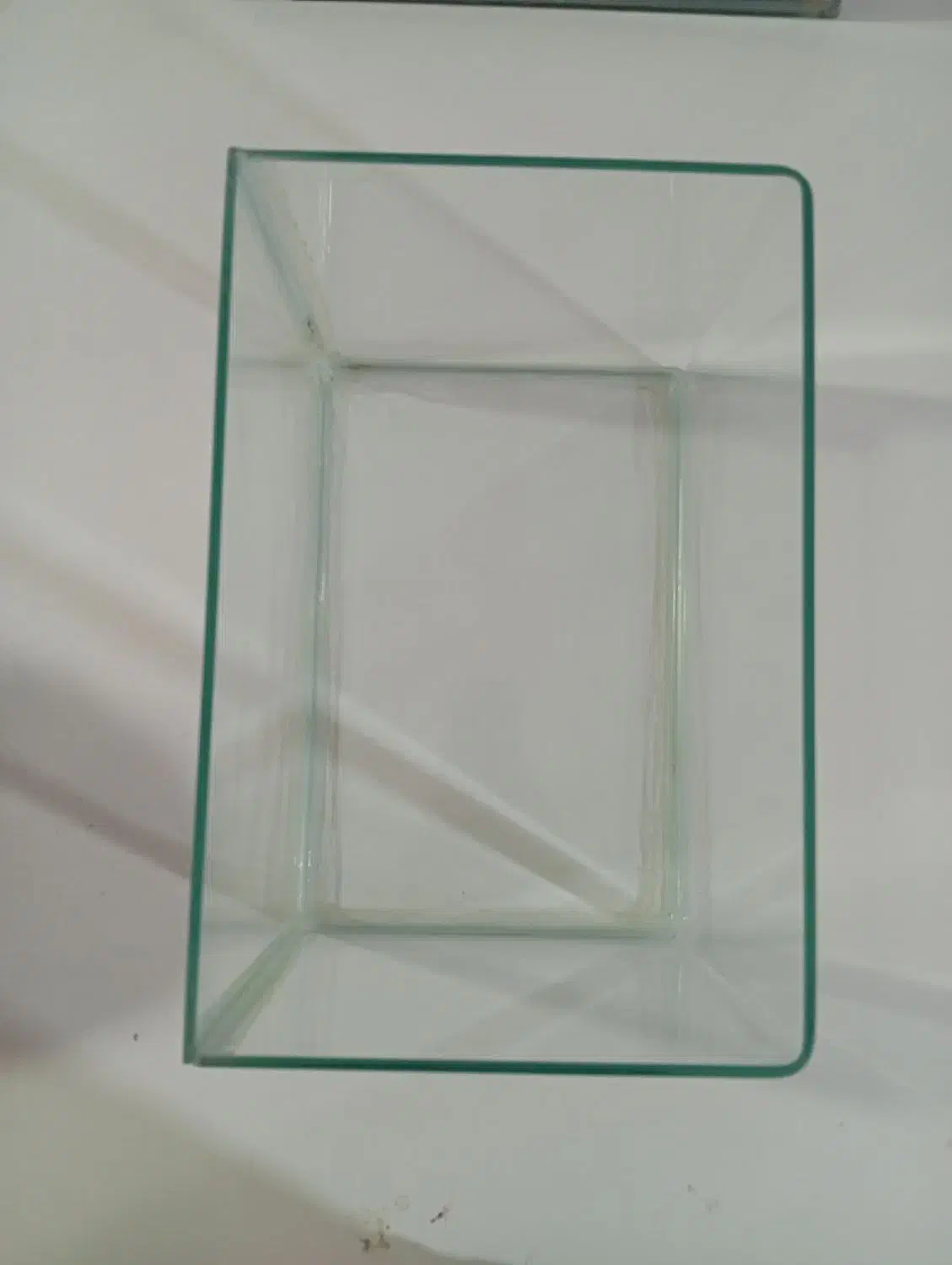 آکواریوم شیشه خم|ماهی|ارومیه, |دیوار