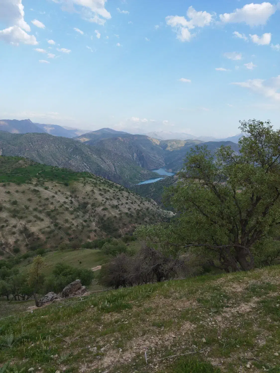 زمین نقلی آینده دار|فروش زمین و ملک کلنگی|خمینی‌شهر, |دیوار