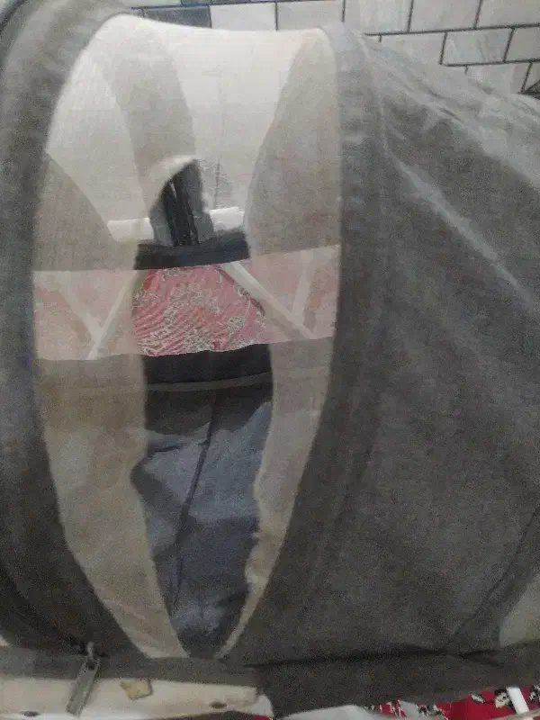 گهواره|اسباب و اثاث بچه|اندیمشک, |دیوار