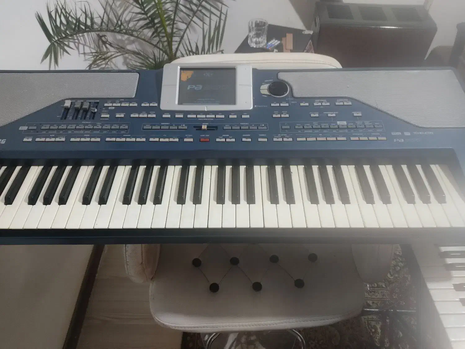 اورگ. 800.   کورگ.  رم 64|پیانو، کیبورد، آکاردئون|ارومیه, |دیوار