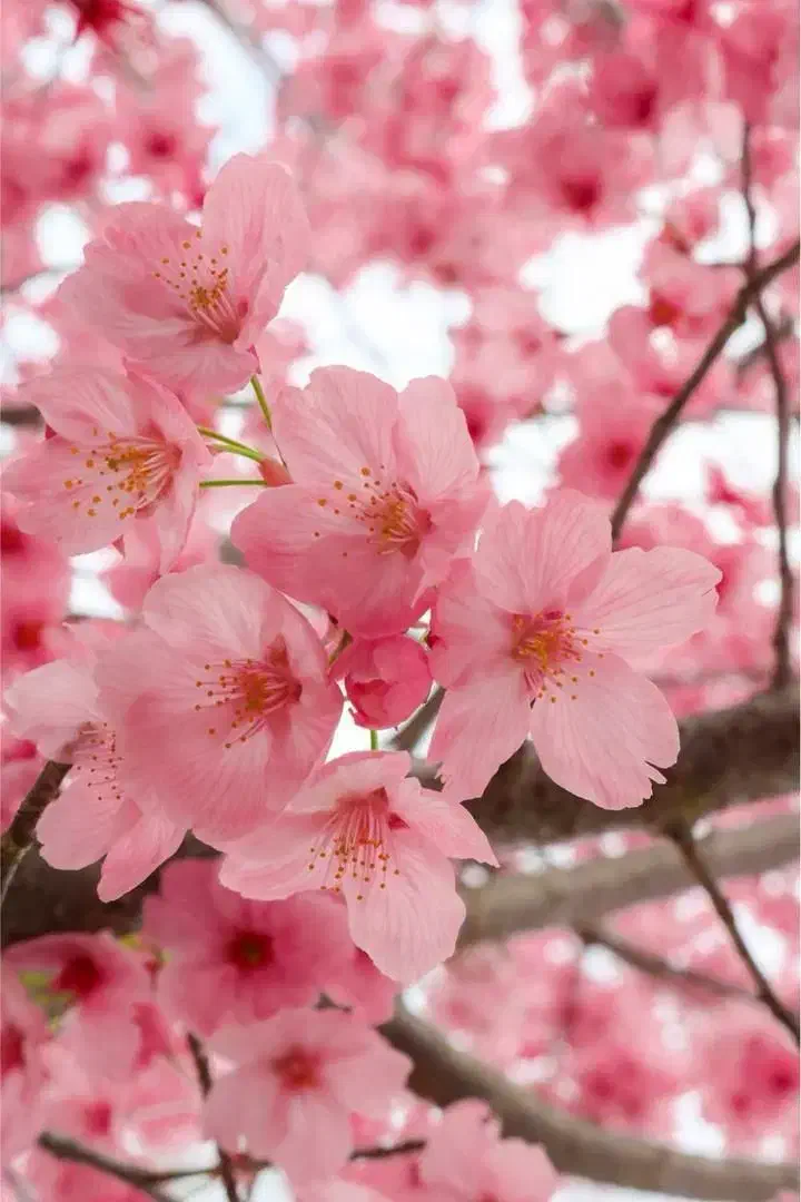 خط کد صفر بدون کارکرد|سیم‌کارت|کرج, گوهردشت|دیوار