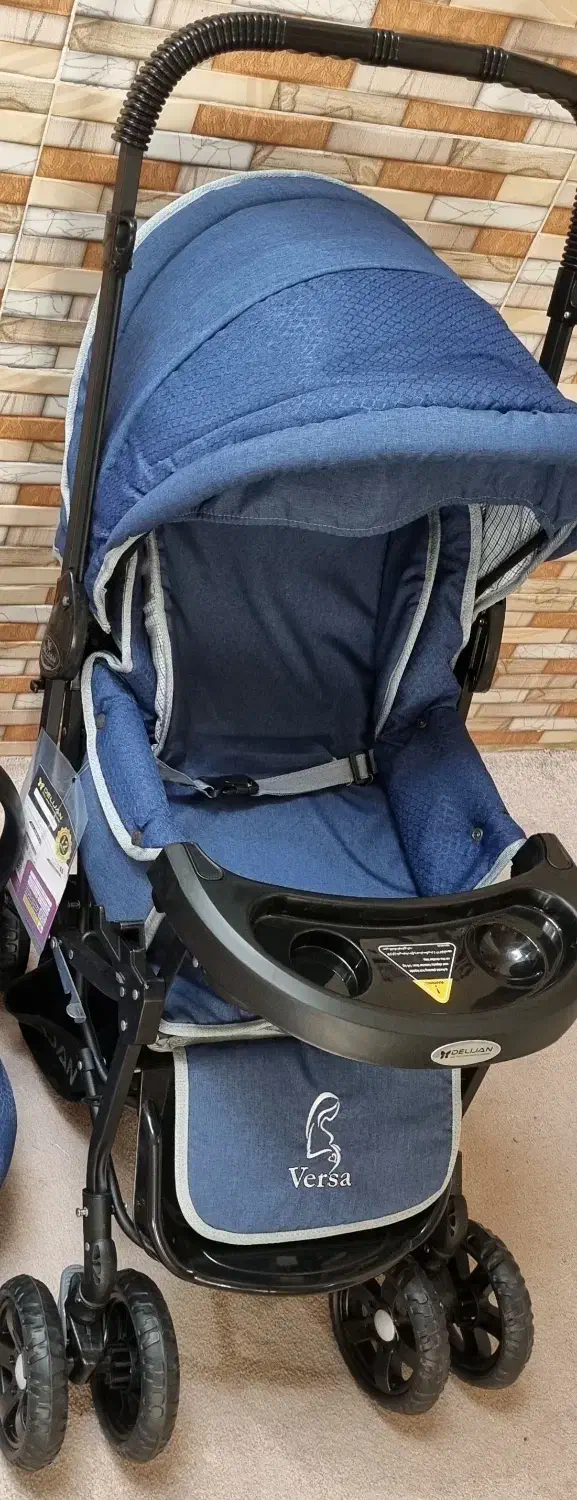 کالسکه دلیجان|کالسکه و لوازم جانبی|سیرجان, |دیوار