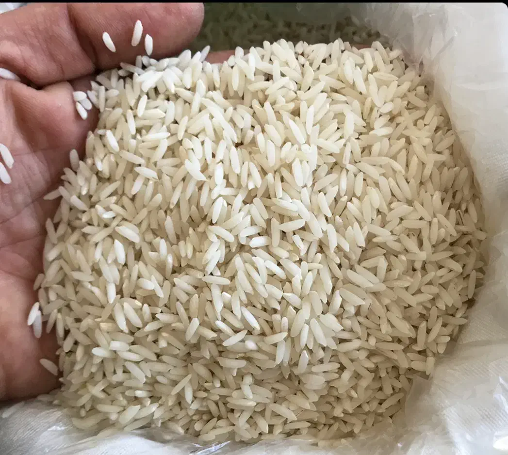 برنج صدری هاشمی|خوردنی و آشامیدنی|محمدیه-قزوین, |دیوار