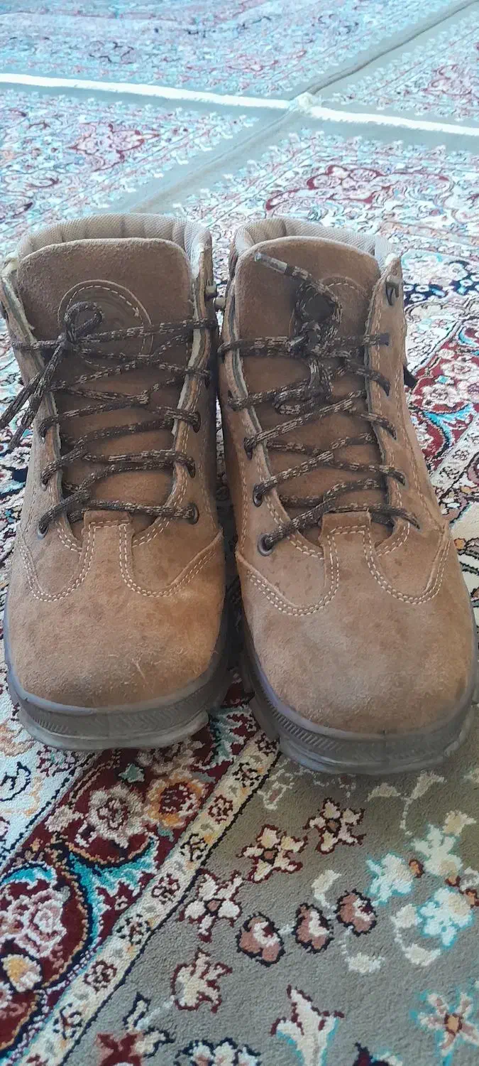 کفش فوتبالی وفوتسالی|کیف، کفش، کمربند|سنندج, |دیوار