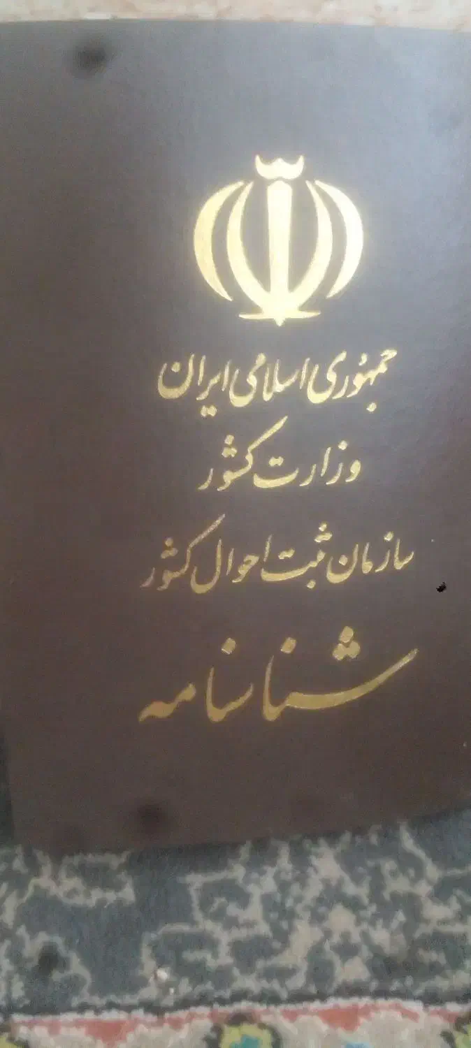 شناسنانه پیداشده|اشیا|زرند, |دیوار