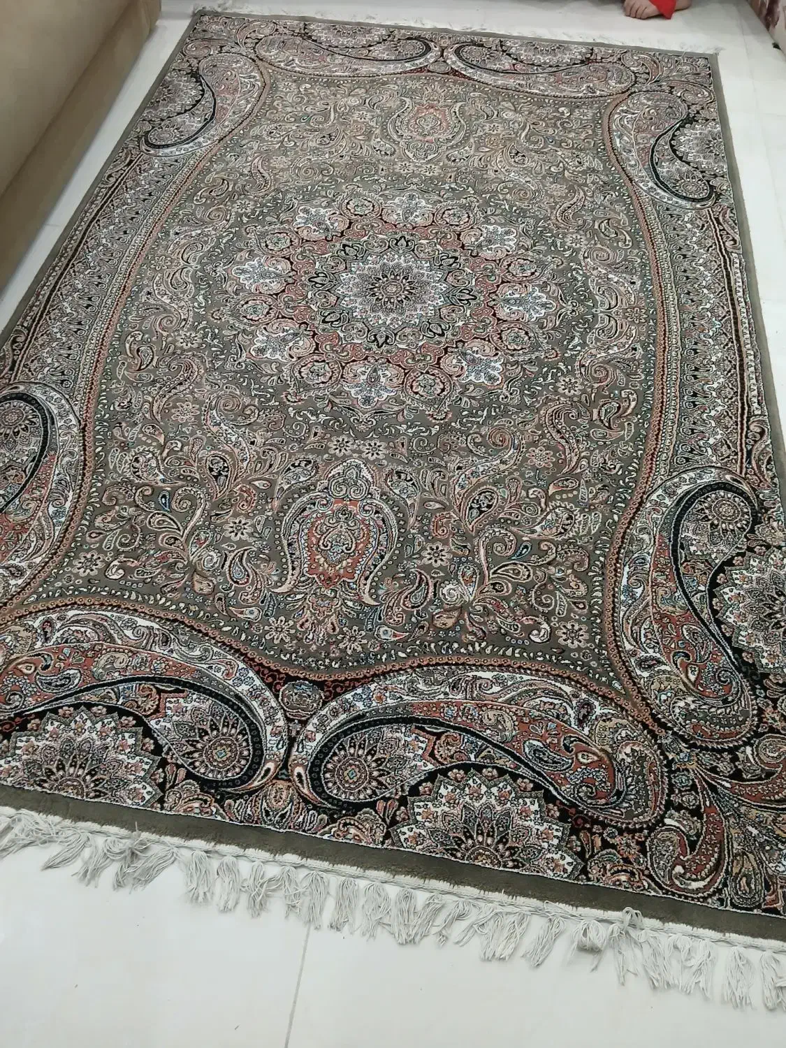 فروش قالی ماشینی|فرش|رشت, کاکتوس|دیوار