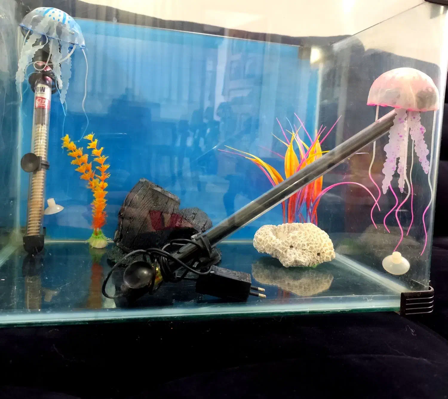 آکواریوم ضخیم شرکتی|ماهی|فردیس, شهرک سپاه|دیوار