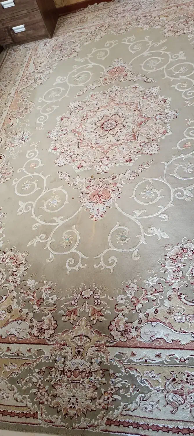 قالی آشپزخانه|فرش|مشهد, هفت تیر (نه دره)|دیوار