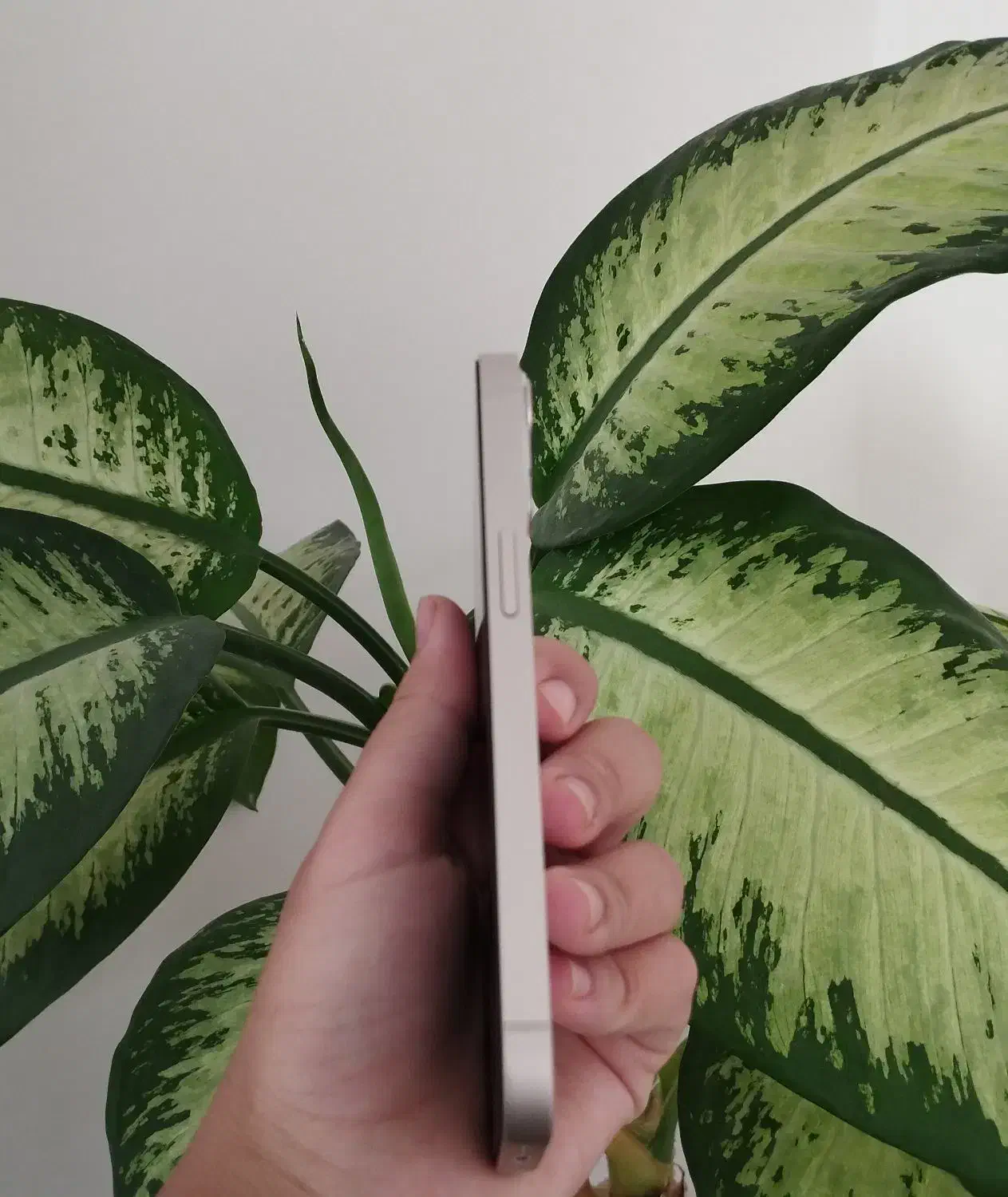 آیفون ۱۳|موبایل|ایلام, |دیوار