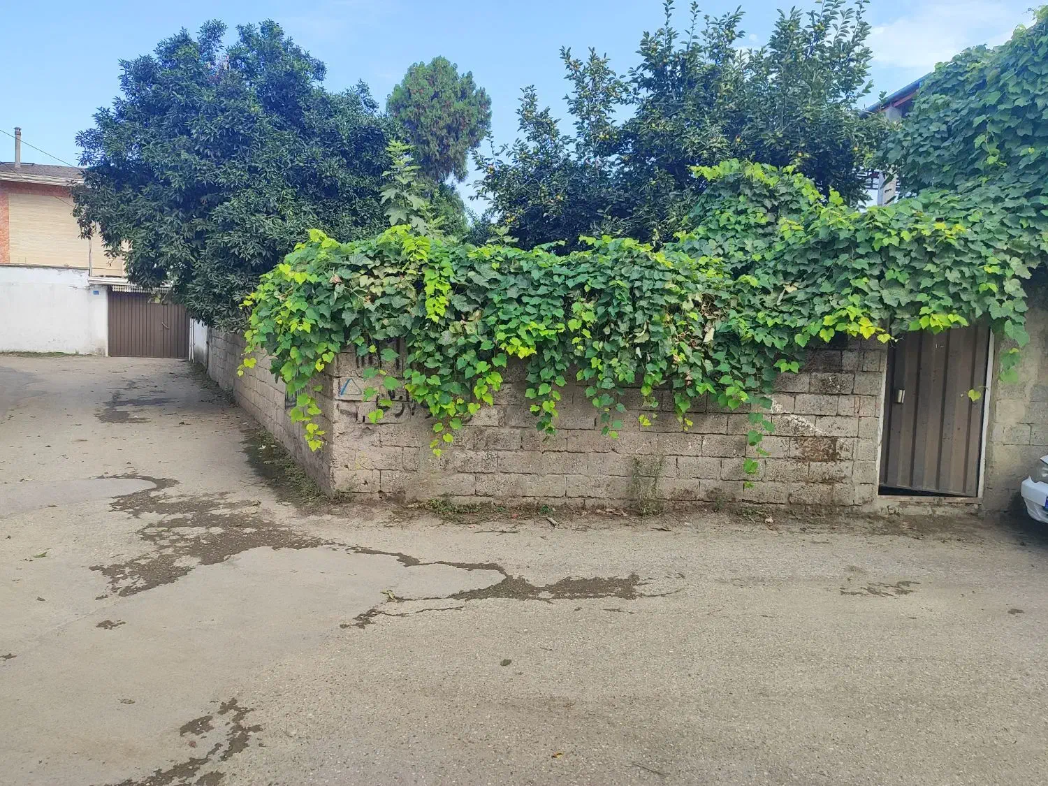 زمین مسکونی دوبر|فروش زمین و ملک کلنگی|امیرکلا, |دیوار