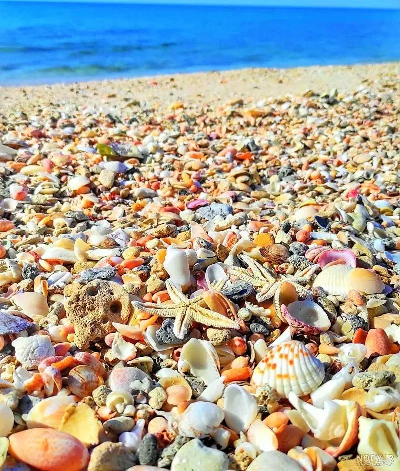 تور ریلی قشم آبان ماه|تور و چارتر|اصفهان, شهرک کاوه|دیوار