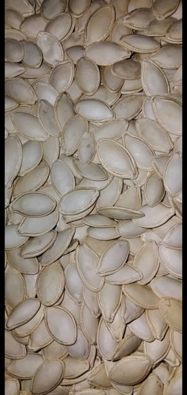 کدو گوشتی|عمده‌فروشی|شیراز, شهرک ایثار|دیوار