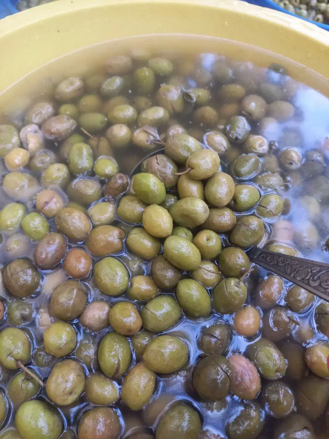 محصولات اورگانیک|خوردنی و آشامیدنی|باغستان, |دیوار