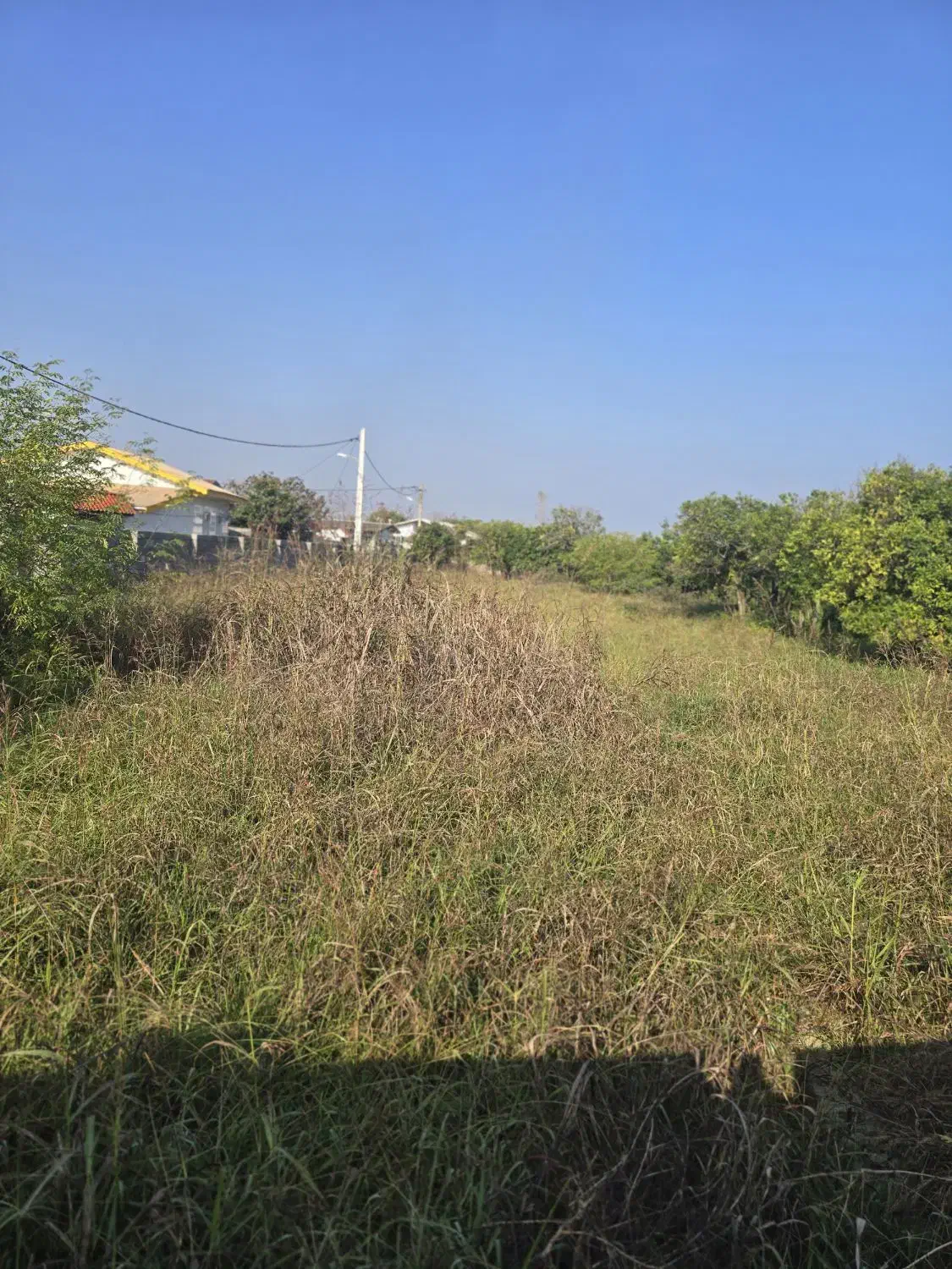 زمین۲۲۰متری|فروش زمین و ملک کلنگی|واجارگاه, |دیوار