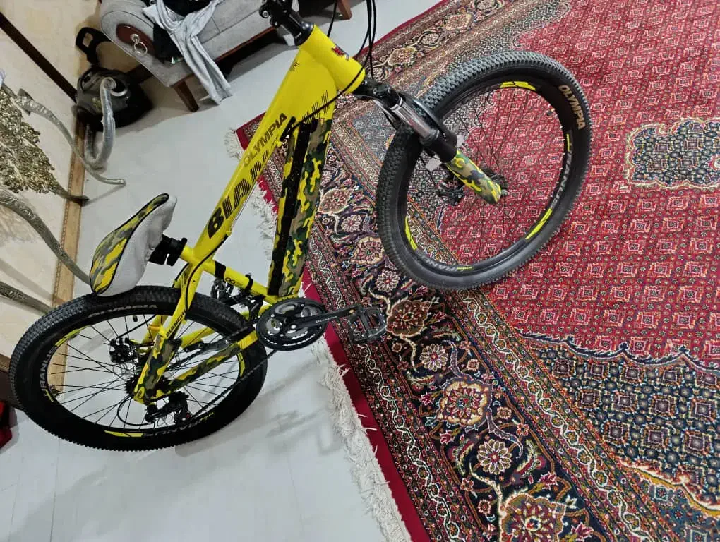 دوچرخه ۲۴|دوچرخه، اسکیت، اسکوتر|چهارباغ, |دیوار