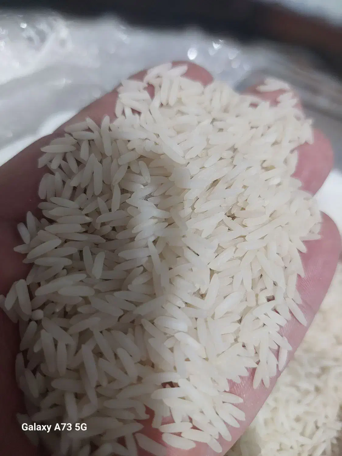 نیمدانه معطر|خوردنی و آشامیدنی|قم, شاه ابراهیم|دیوار