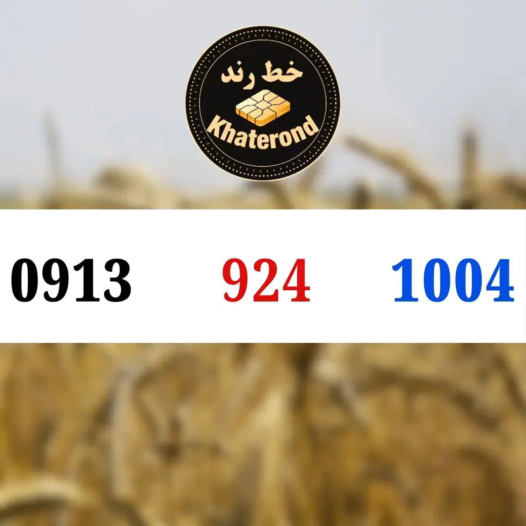 0913.825.7005|سیم‌کارت|اصفهان, خواجو|دیوار