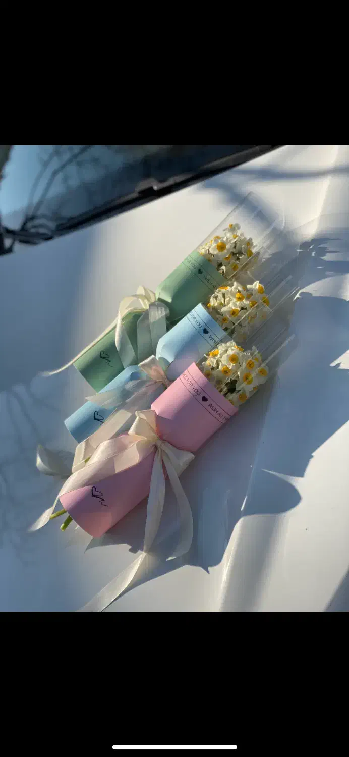 نرگس ( رایگان )|گل و گیاه طبیعی|مشهد, هفت تیر (حافظ)|دیوار