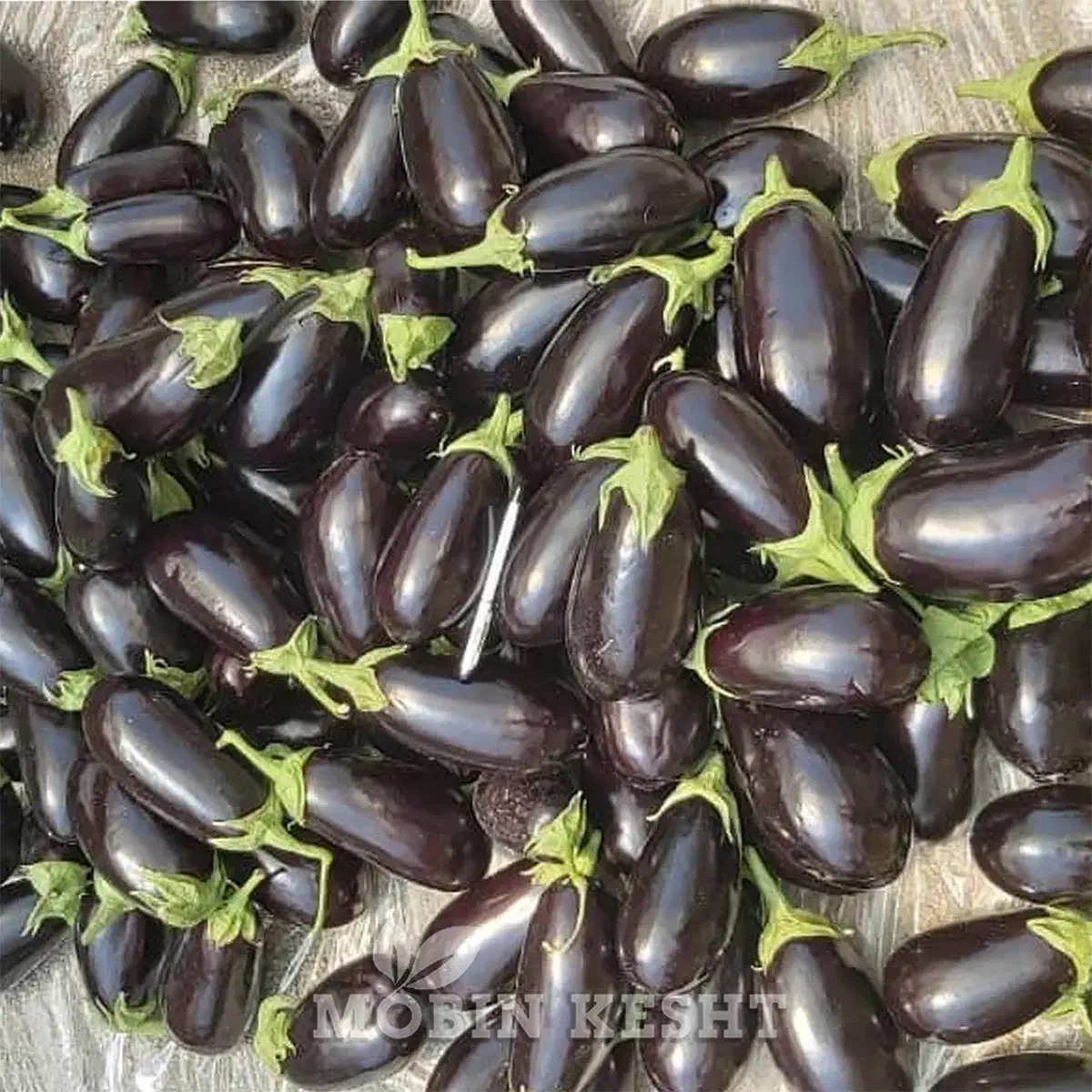 بادمجان صادراتی|خوردنی و آشامیدنی|کرج, آق تپه|دیوار