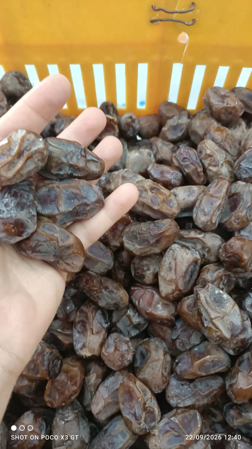 خرما|خوردنی و آشامیدنی|سعدآباد, |دیوار