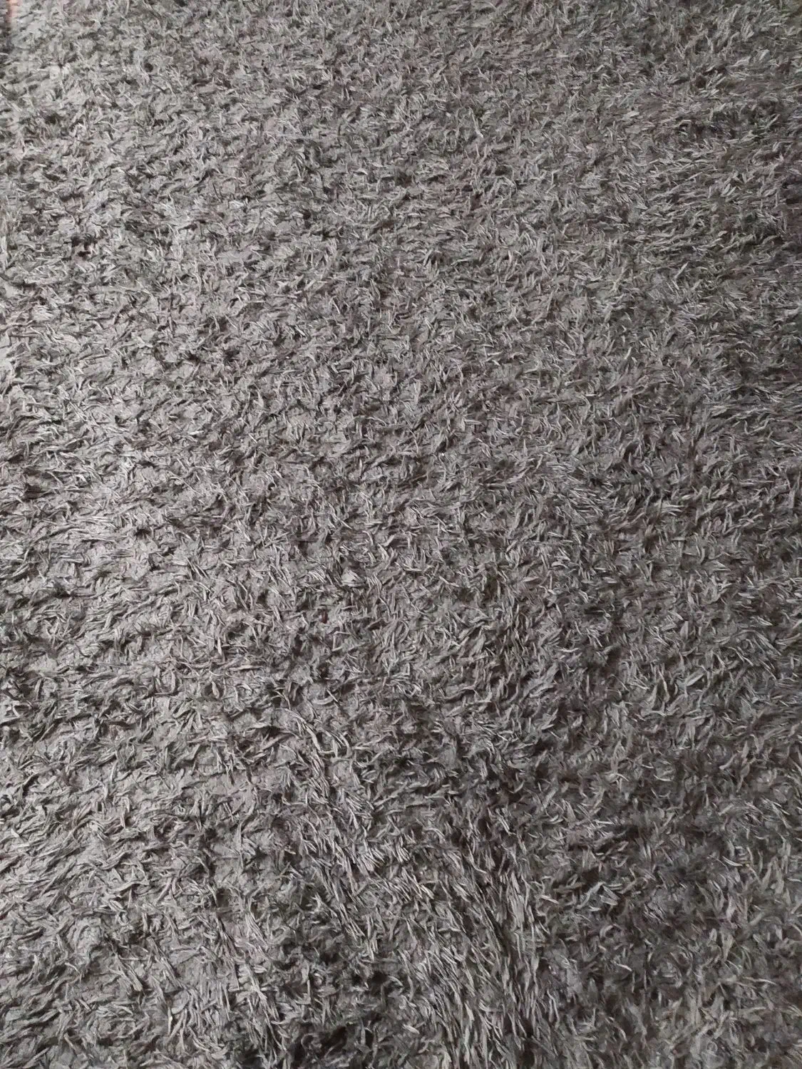 فرش.پرزدار. فرش شگی|فرش|کرمان, |دیوار