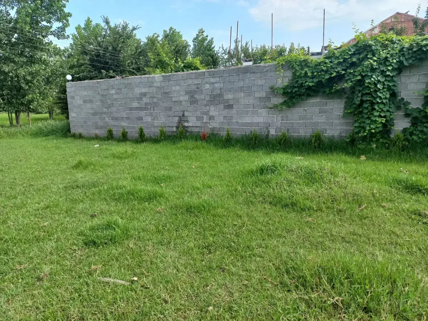 فروش فوری ۲۴۲۵متر زمین مسکونی با مدارک کامل اوقافی|فروش زمین و ملک کلنگی|سنگر, |دیوار