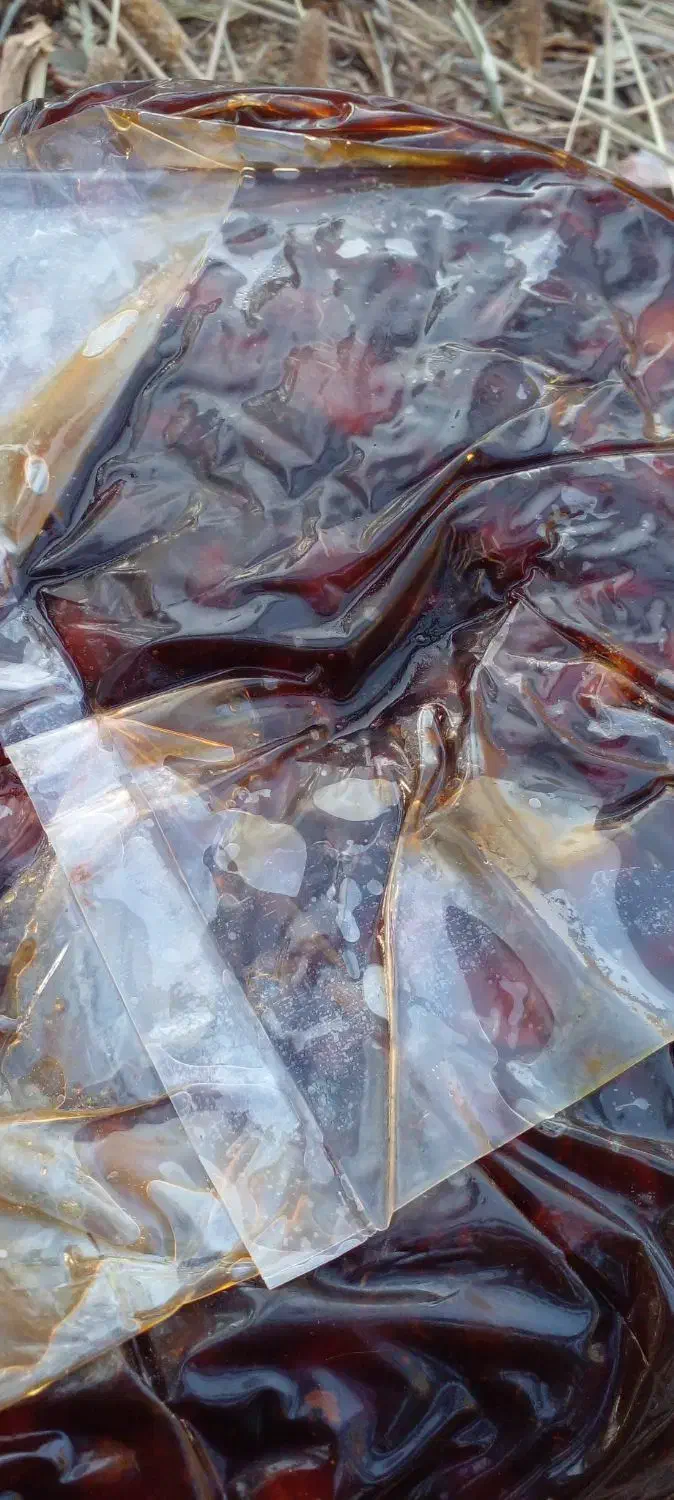 فروش خرما مراسنگ و مضافتی شیردار|عمدهفروشی|گافر و پارمون, |دیوار