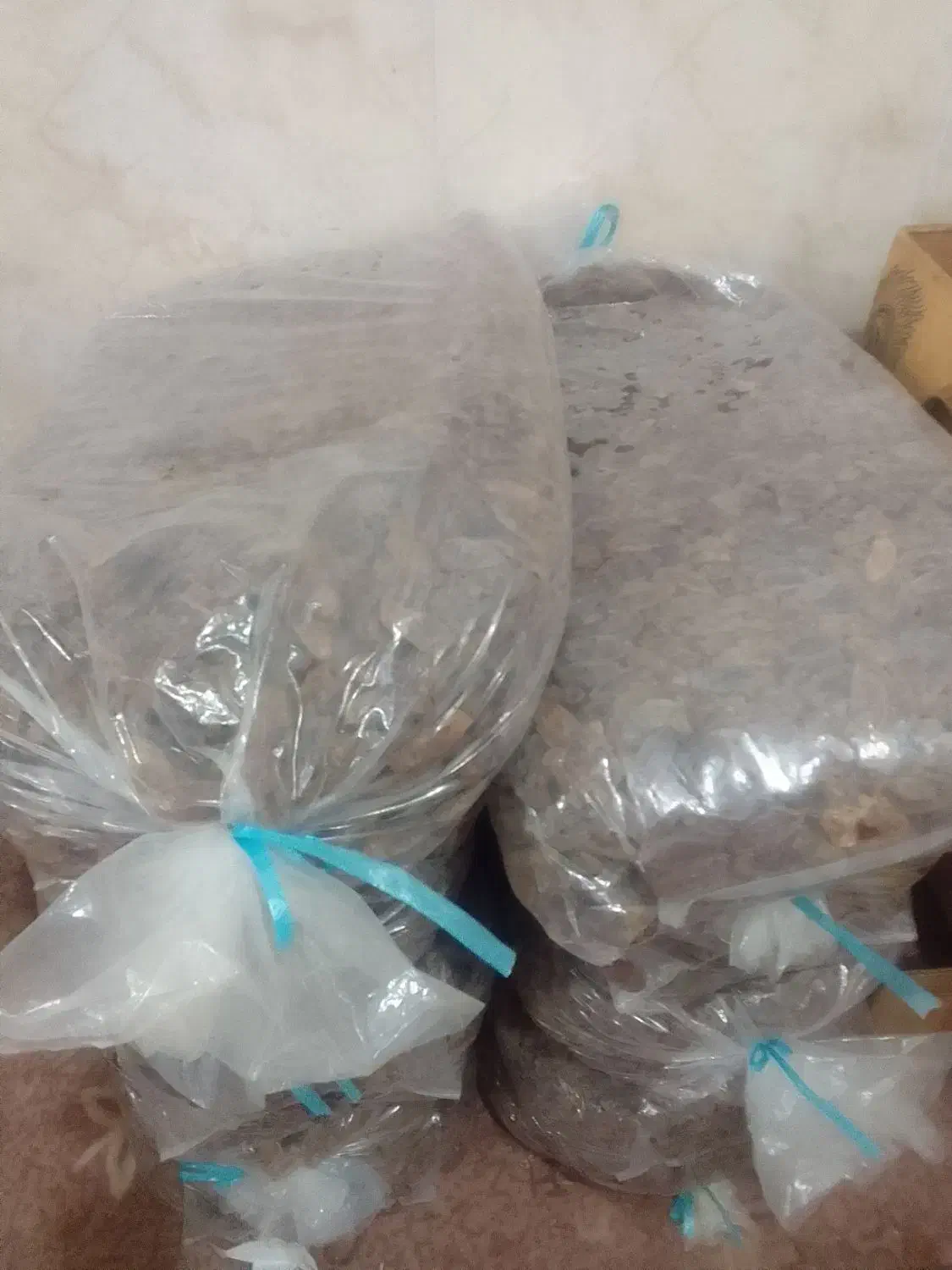 خرمای درجه یک|خوردنی و آشامیدنی|بستک, |دیوار