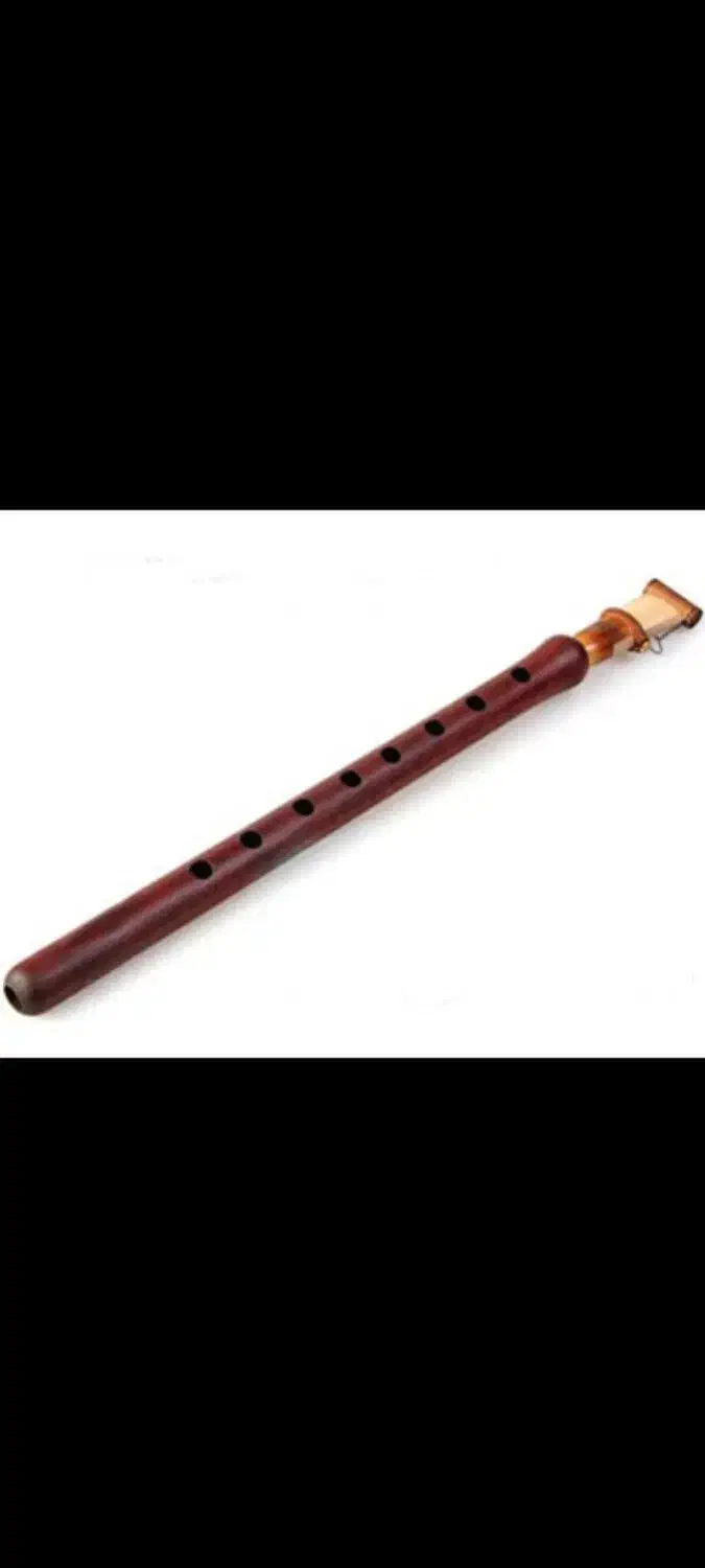 دودوک|سازهای بادی|تهران, نیاوران|دیوار