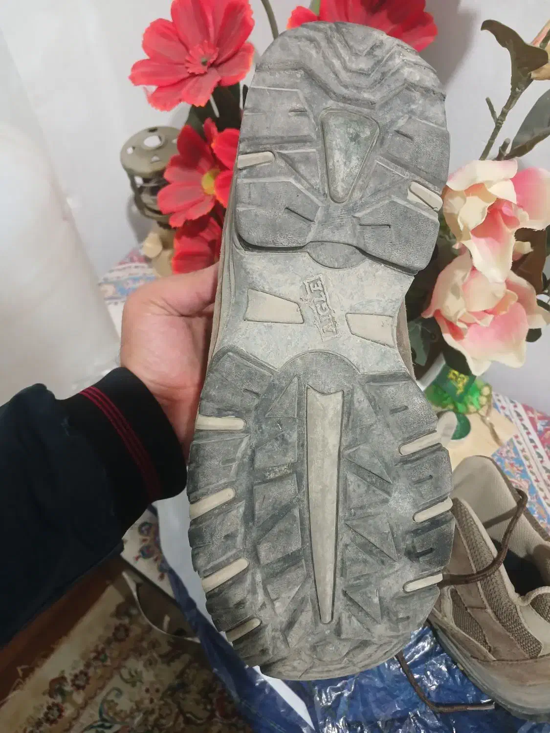 کفش کوهنوردی Aigle مردانه سایز ۴۲|کوهنوردی و کمپینگ|طبس, |دیوار