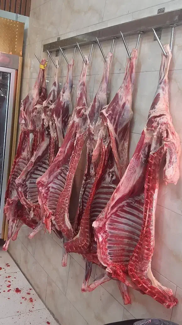 گوشت گوسفندی کشتار روز|خوردنی و آشامیدنی|رشت, دیلمان|دیوار