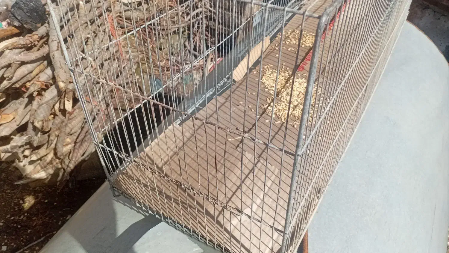قفس پرنده|لوازم جانبی حیوانات|جوانرود, |دیوار