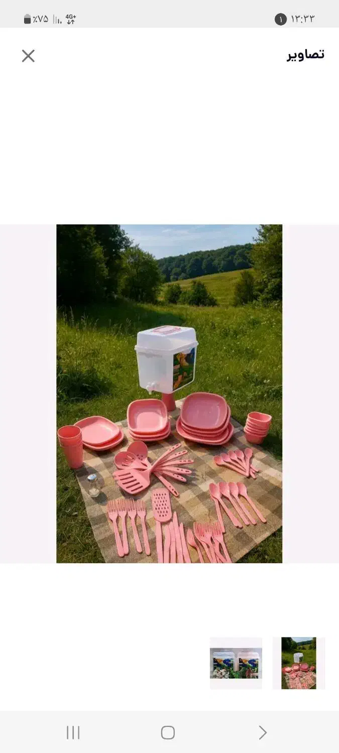 سبد مسافرتی|ظروف سرو و پذیرایی|ملکشاهی, |دیوار