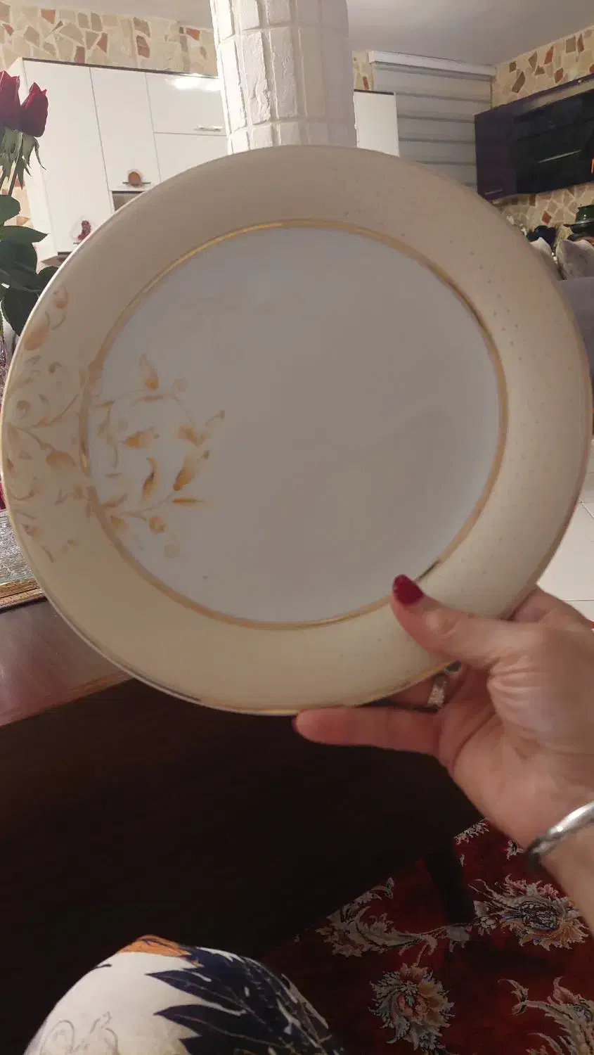 ۱۲ عدد پلوخوری|ظروف سرو و پذیرایی|ساری, |دیوار