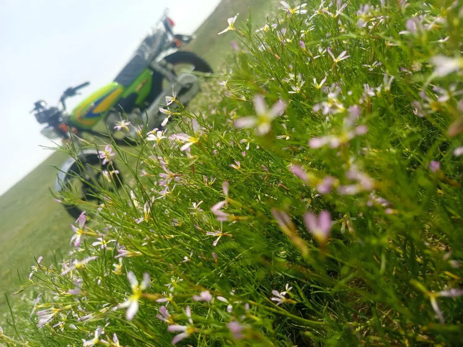 ۲۰۰|موتورسیکلت|مشهد, همت آباد|دیوار