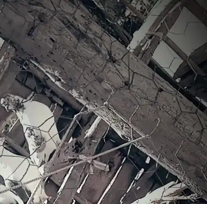 معاوضه کبوتر با سگ پژدر|پرنده|ایجرود, |دیوار