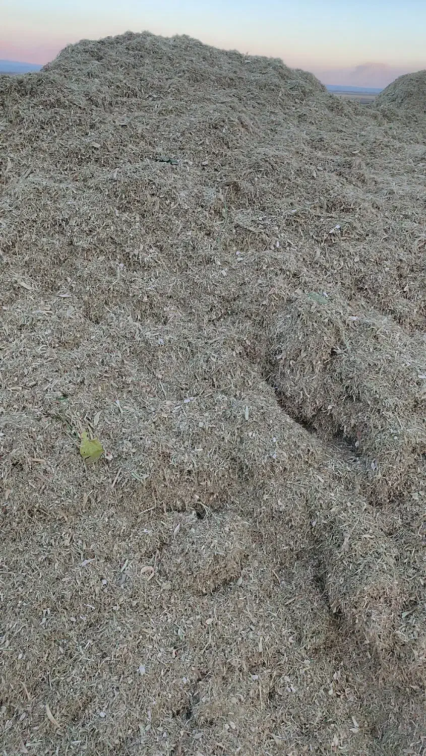 کاه لوبیا قرمز|لوازم جانبی حیوانات|سیلاخور, |دیوار