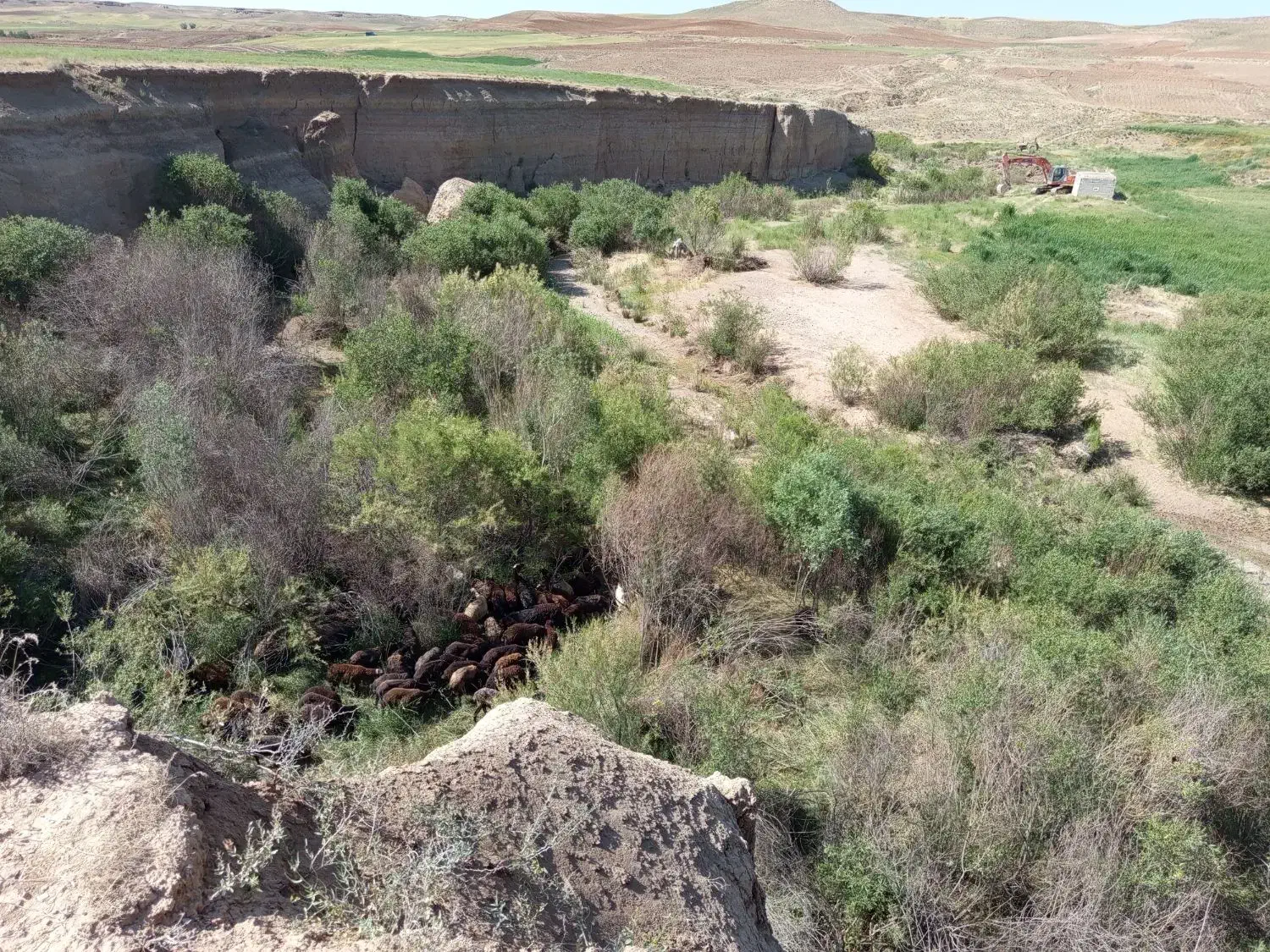 دکتر|فعالیت داوطلبانه|ماهدشت, |دیوار