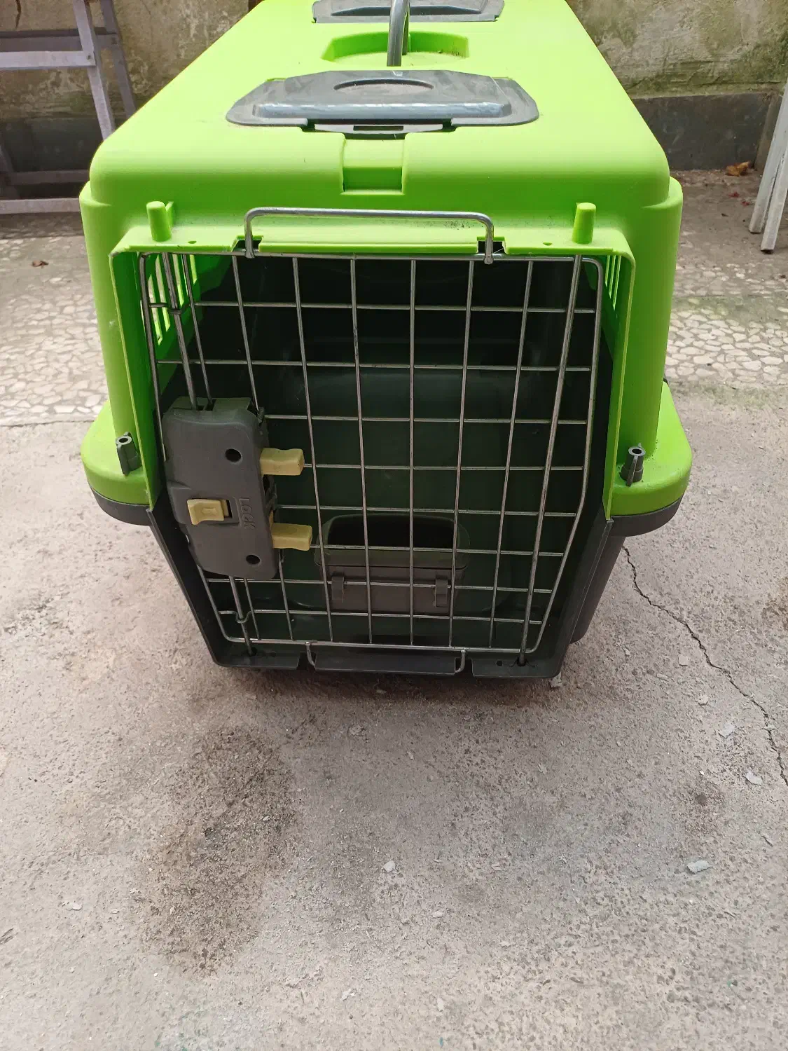 باکس سگ شیتزو . اشپیتز|لوازم جانبی حیوانات|لنگرود, |دیوار